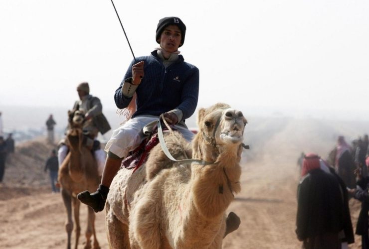 عروض الهجن