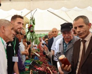 الكرز من الرموز الأساسية في تاريخ المنطقة