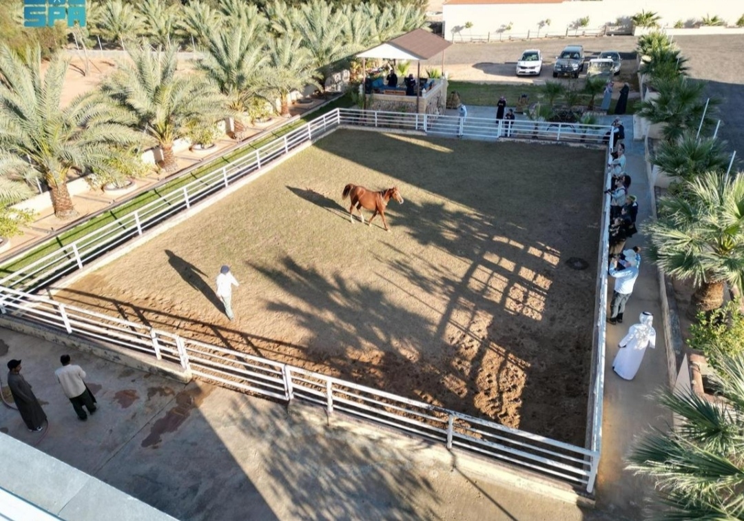 إسطبلات الجوف