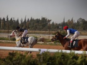 مصراتة تختتم كأس ليبيا لسباق الخيل 2026 بمشاركة واسعة من الفرسان والملاك