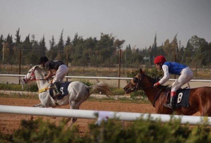 مصراتة تختتم كأس ليبيا لسباق الخيل 2026 بمشاركة واسعة من الفرسان والملاك