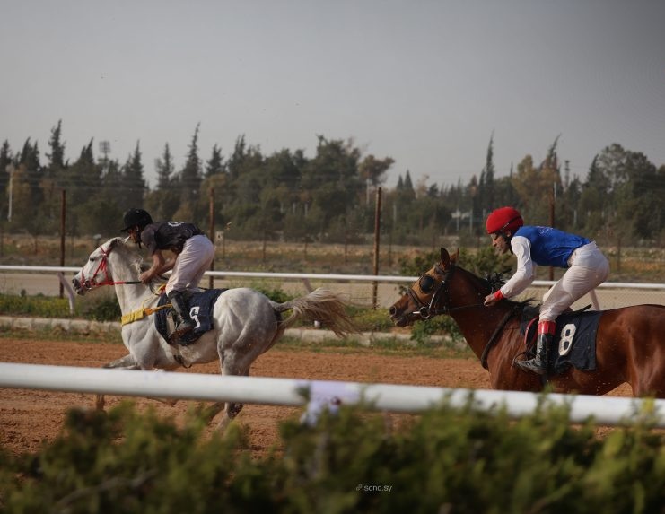 مصراتة تختتم كأس ليبيا لسباق الخيل 2026 بمشاركة واسعة من الفرسان والملاك