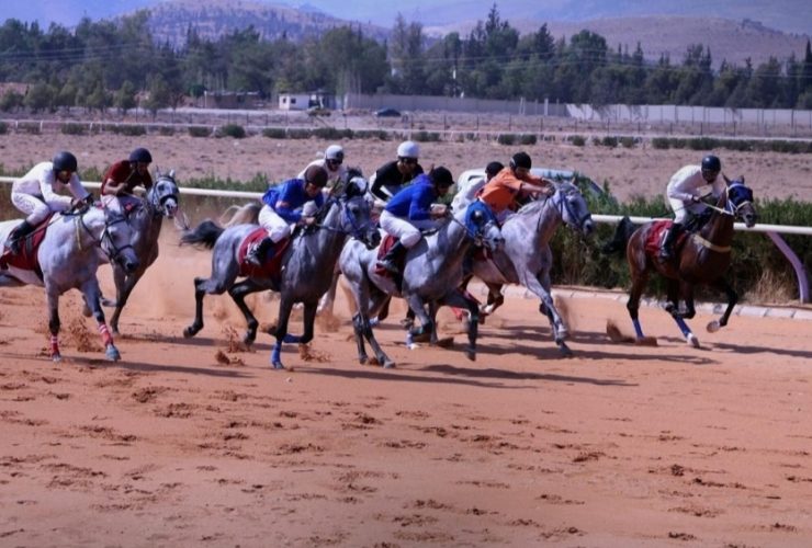 دمشق تستعد للسباق الدوري الخامس للخيول العربية الأصيلة
