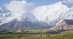 الخيل في قيرغستان