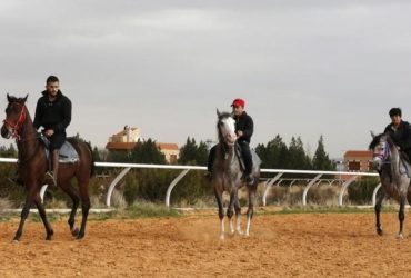 مضمار للفروسية في إدلب