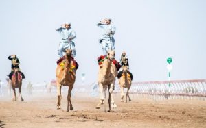 انطلاق أحد أشواط مهرجان الأبيض في ولاية سناو