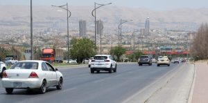 تعد الحيوانات السائبة من أبرز العوامل التي قد تتسبب بحوادث مرورية