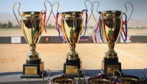 أظهرت النتائج تقارباً واضحاً في مستويات الجياد المشاركة