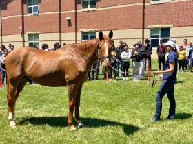 برنامج تعليمي جديد في ولاية كنتاكي الأمريكية يربط الطلاب بصناعة الخيل
