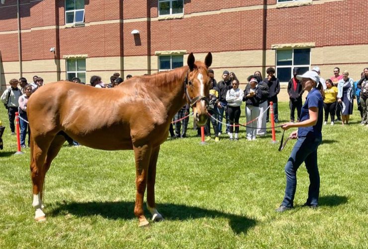 برنامج تعليمي جديد في ولاية كنتاكي الأمريكية يربط الطلاب بصناعة الخيل