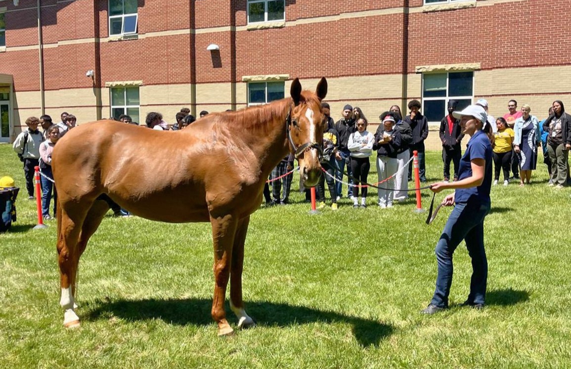 برنامج تعليمي جديد في ولاية كنتاكي الأمريكية يربط الطلاب بصناعة الخيل