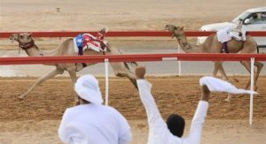 يعتمد المهرجان هذا العام على هيكل تنافسي من ثلاث جولات تمهيدية تُقام خلال يوليو وأغسطس وسبتمبر