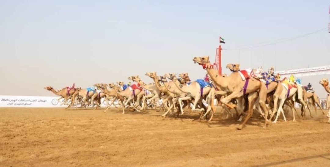 النسخة الثانية من مهرجان العين لسباقات الهجن