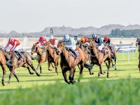 كأس رئيس دولة الإمارات للخيول العربية الأصيلة يعزز حضور الخيل العربية في بريطانيا