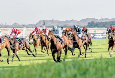 كأس رئيس دولة الإمارات للخيول العربية الأصيلة يعزز حضور الخيل العربية في بريطانيا