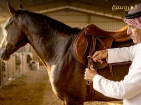 الصيف والحرارة العالية وتأثيرها على الخيل