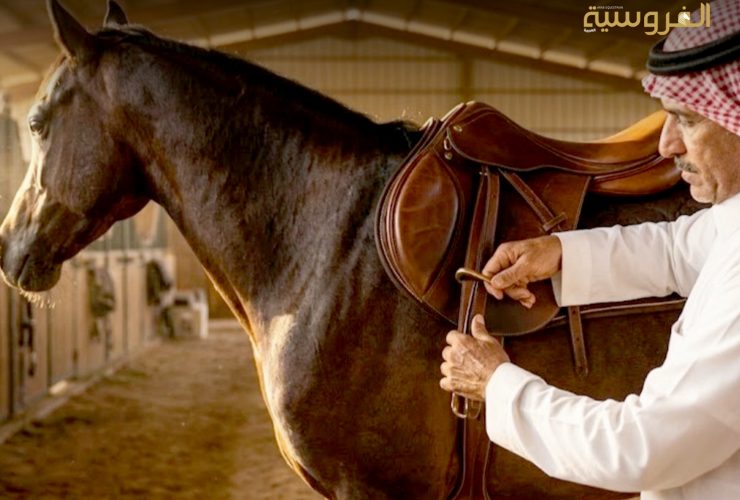 الصيف والحرارة العالية وتأثيرها على الخيل