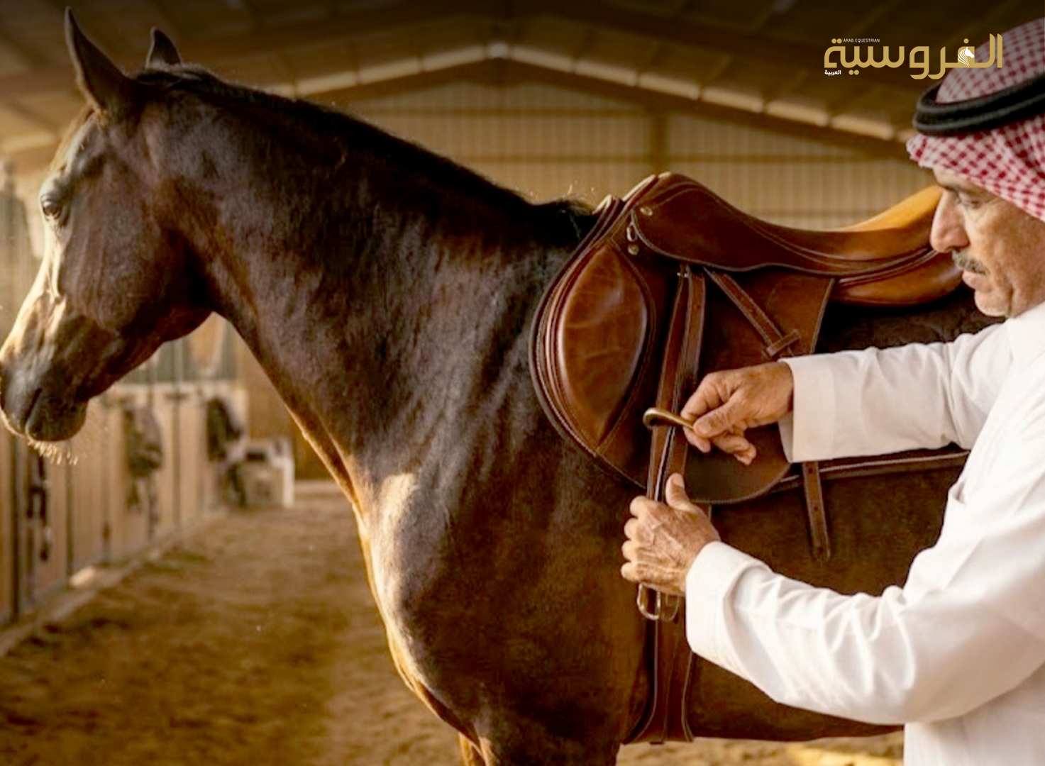 الصيف والحرارة العالية وتأثيرها على الخيل