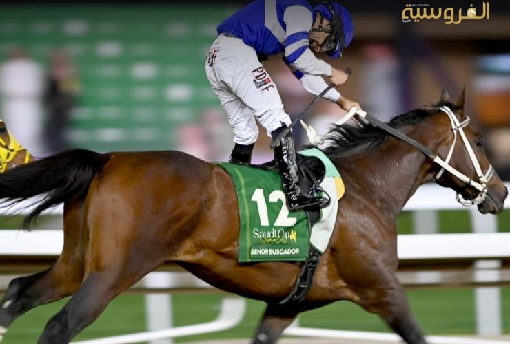 سباقات الخيل في السعودية