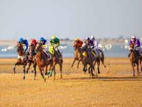الزويد يعتلي منصة التتويج الأوروبية.. برونزية تعزز حضور الفروسية السعودية في إسبانيا