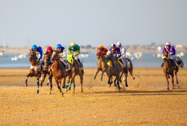 الزويد يعتلي منصة التتويج الأوروبية.. برونزية تعزز حضور الفروسية السعودية في إسبانيا