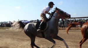من سباقات الخيل في لبنان