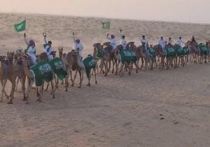 سباقات الهجن في المملكة العربية السعودية