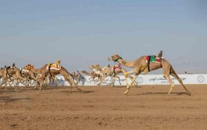 الفايضة تتصدر منافسات الحقايق