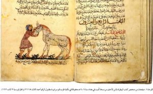 تمتلك المكتبات العربية رصيدًا مهمًا من المخطوطات التي تناولت الخيل