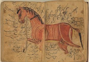 احتلت الخيل العربية مكانة استثنائية في الحضارة العربية والإسلامية