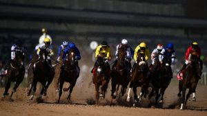 سباقات الخيول