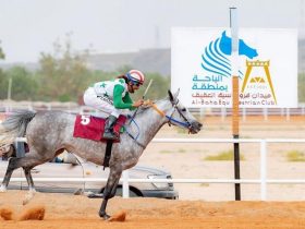 سباق الفروسية في المخواة