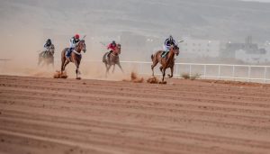 سباقات الخيل في صيف الباحة
