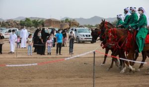 الفروسية في الباحة