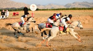 فعاليات صيف الباحة إحدى أبرز المبادرات الموسمية التي تجمع بين الأنشطة الثقافية والترفيهية والرياضية