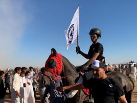 سباقات نينوى