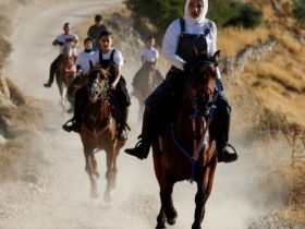 ثقافة الخيل في الضفة الغربية