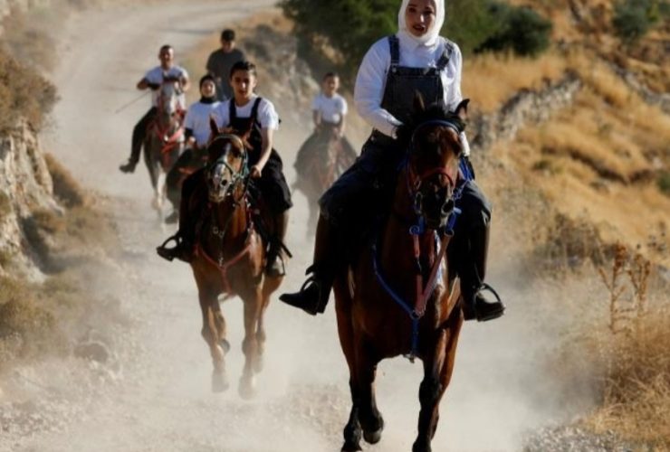 ثقافة الخيل في الضفة الغربية