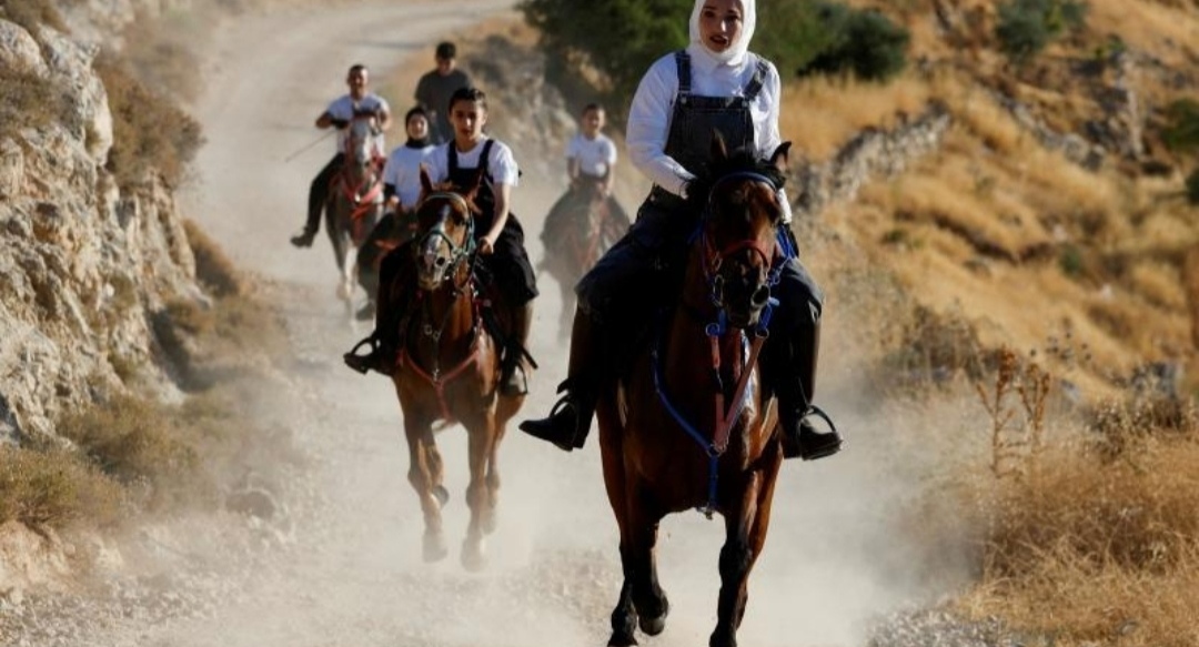 ثقافة الخيل في الضفة الغربية
