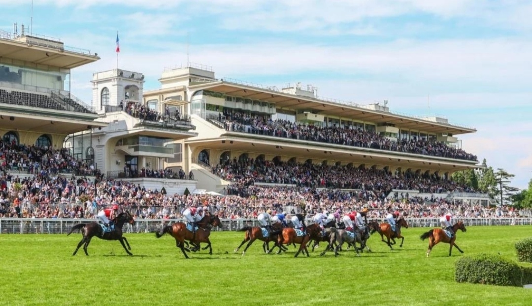 سباقات الخيل في فرنسا