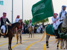 الخيل في جازان