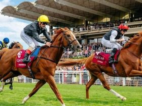 خيول الإمارات تراهن على المجد الأوروبي