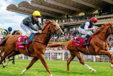 خيول الإمارات تراهن على المجد الأوروبي
