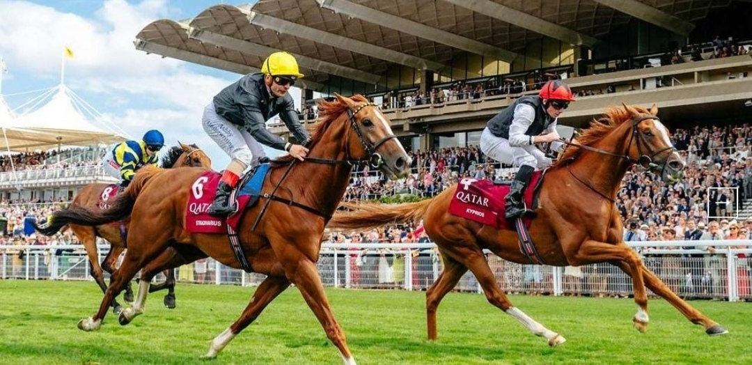 خيول الإمارات تراهن على المجد الأوروبي