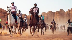 شهدت محافظة العُلا خلال السنوات الأخيرة تنظيم عدد من أبرز الفعاليات العالمية في رياضة الفروسية.