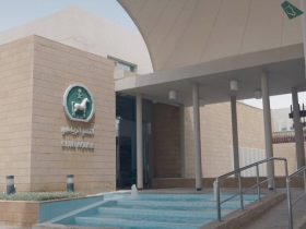 دشنت هيئة الفروسية السعودية منصة التطوير المهني المستمر