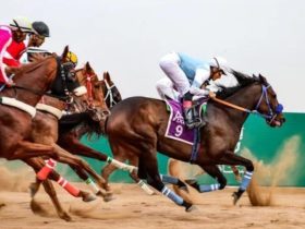 فروسية الباحة تفتح باب المشاركة في السباقات الموسمية