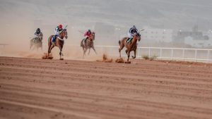 تعمل فروسية الباحة على ترسيخ مكانة المنطقة ضمن خارطة سباقات الخيل في المملكة