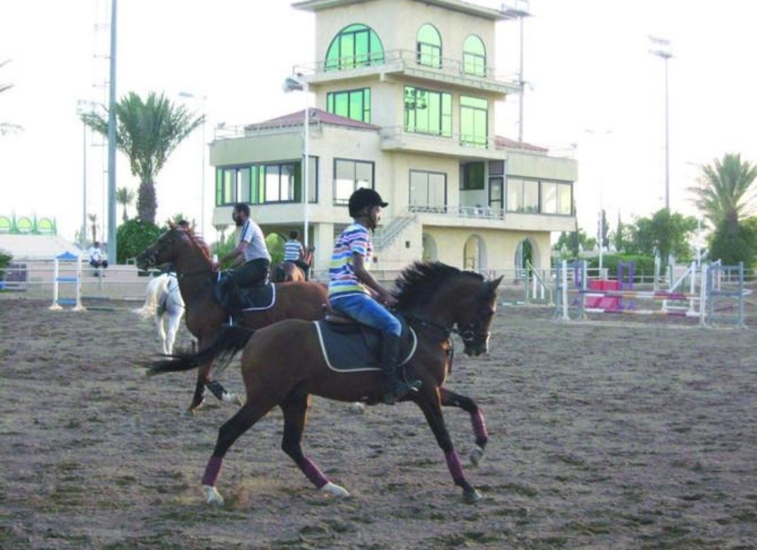 مرابط الخيل في الطائف