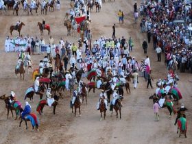 المهرجان المغاربي للفروسية في بوحجلة